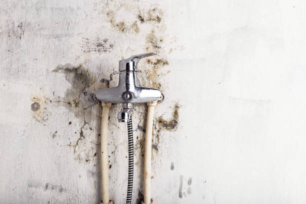Best Bathroom Mold Remediation in Tracy, CA