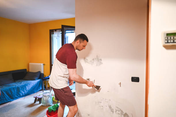 Best Basement Mold Remediation in Tracy, CA